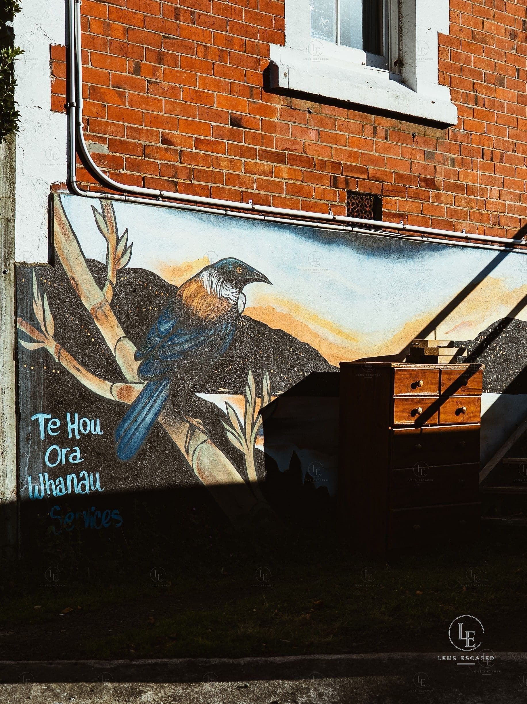 Street photograph — Dunedin