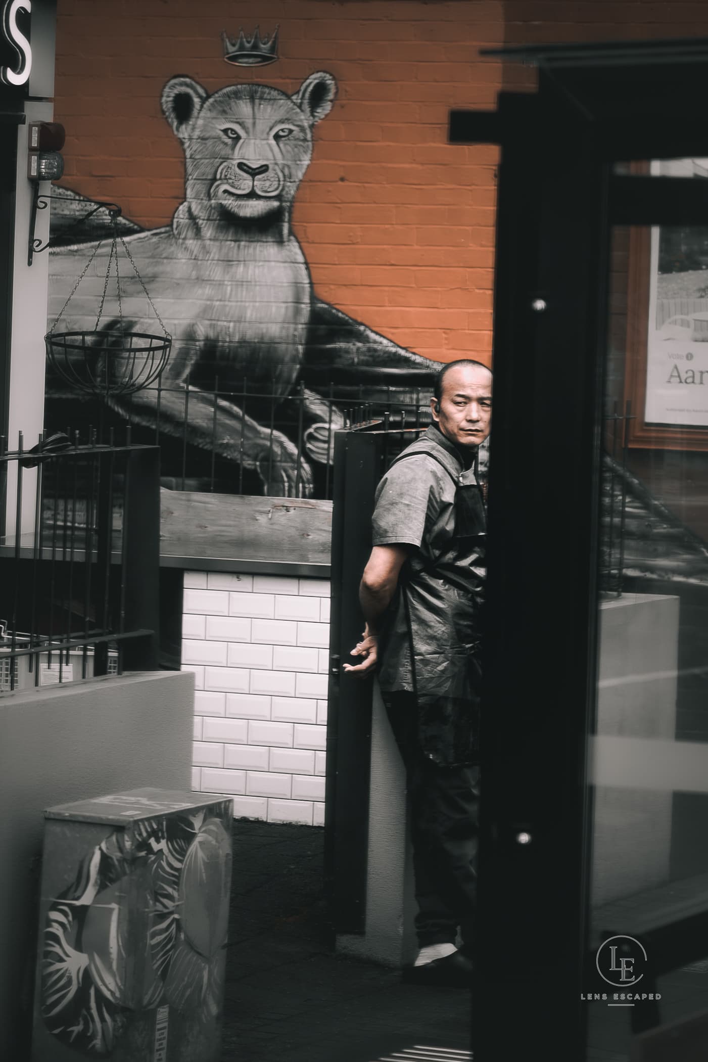Street photograph — Dunedin