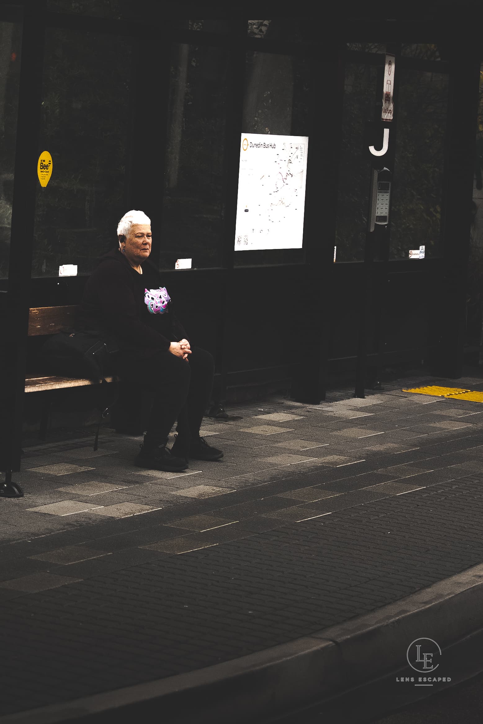Street photograph — Dunedin