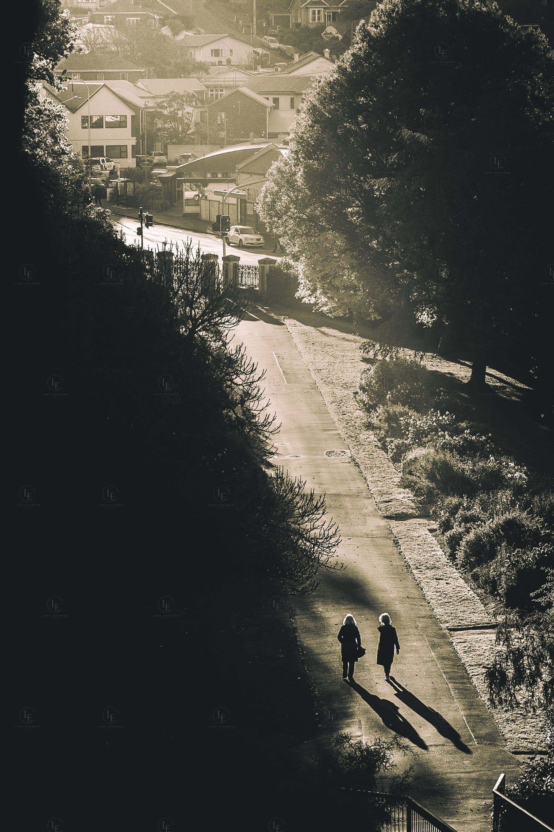 Street photograph — Dunedin