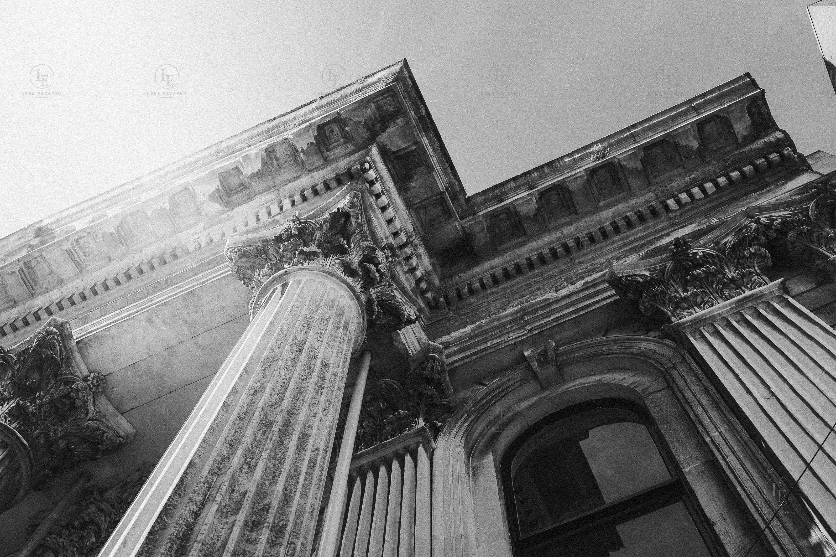 Street photograph — Dunedin